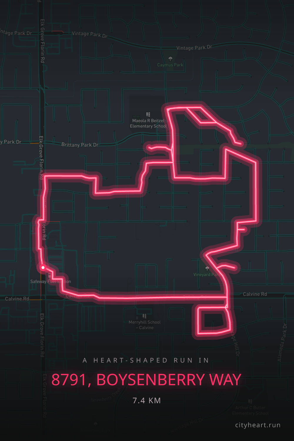 Heart-shaped running route in 8791, Boysenberry Way, 8.1 km — GPS art for Strava