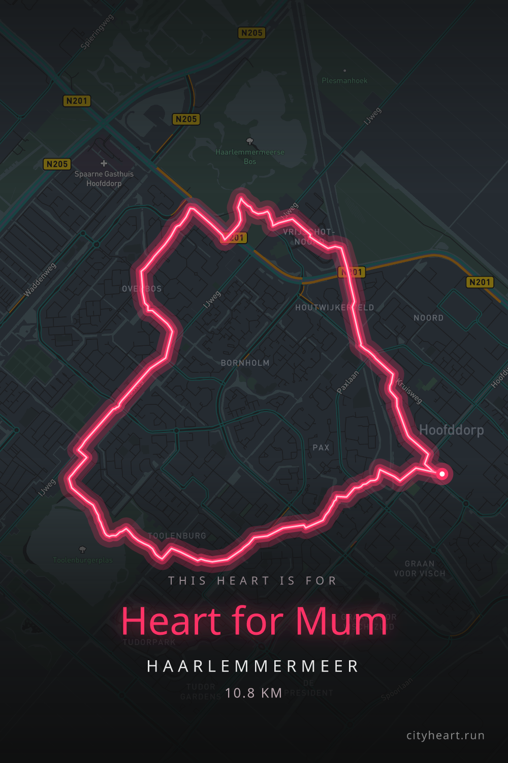Heart-shaped running route in Haarlemmermeer, 10.8 km — GPS art for Strava